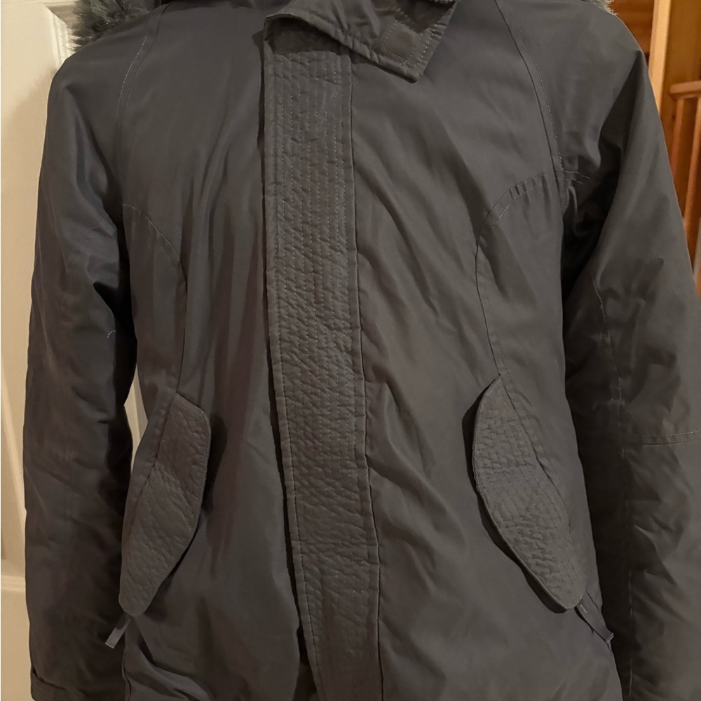 Aritzia summit parka